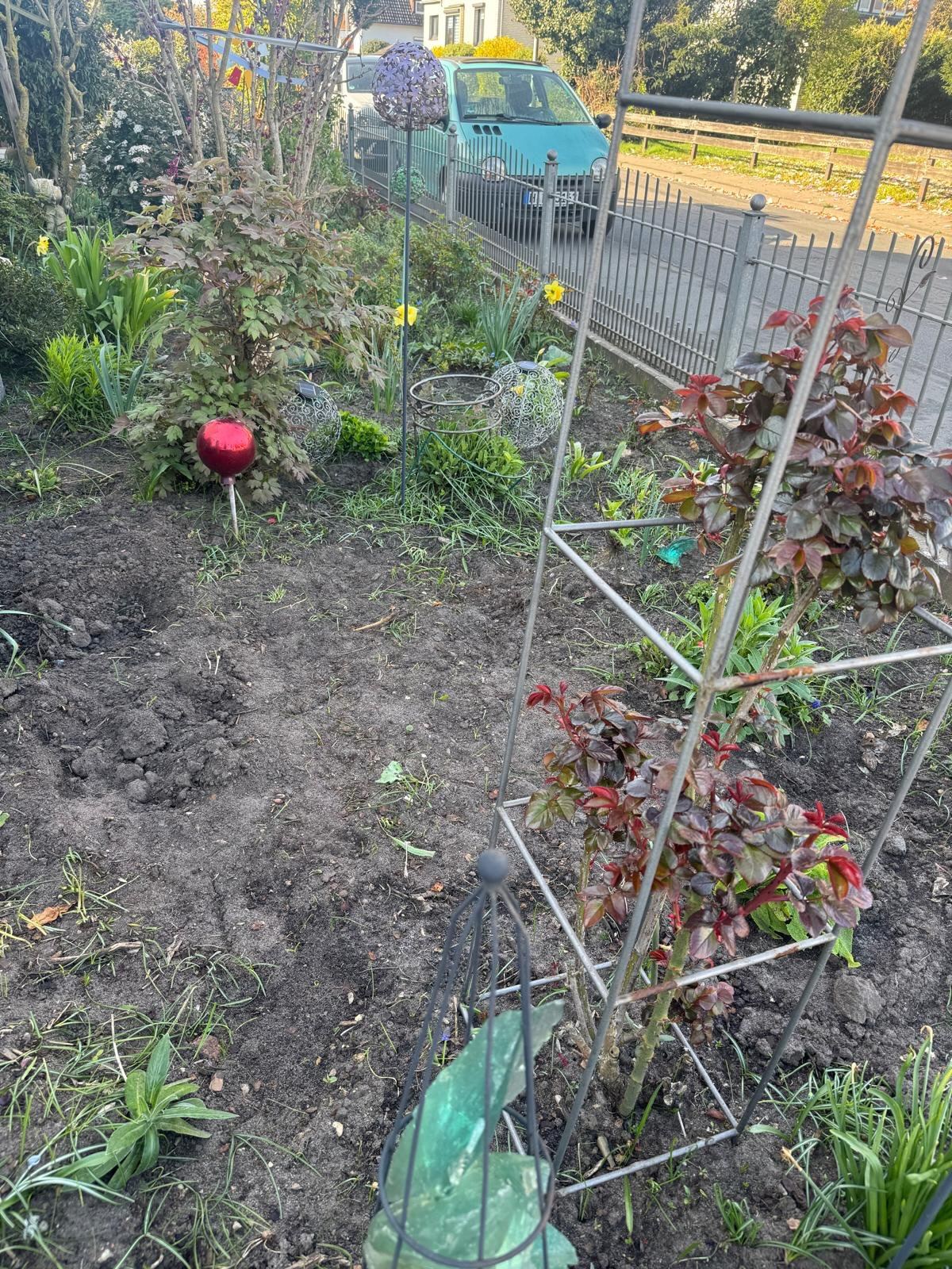 Zustand vor der Ausführung – Projekt 5